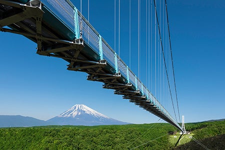 【京成船橋発】三島名物「うな重」の昼食と早春の「かんなみの桜まつり」&三島スカイウォーク<コースNo.25-1126-A>(京成トラベル)3